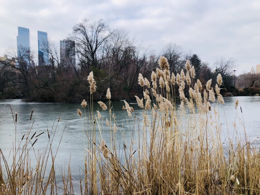 IMG_2410.jpg?type=w966