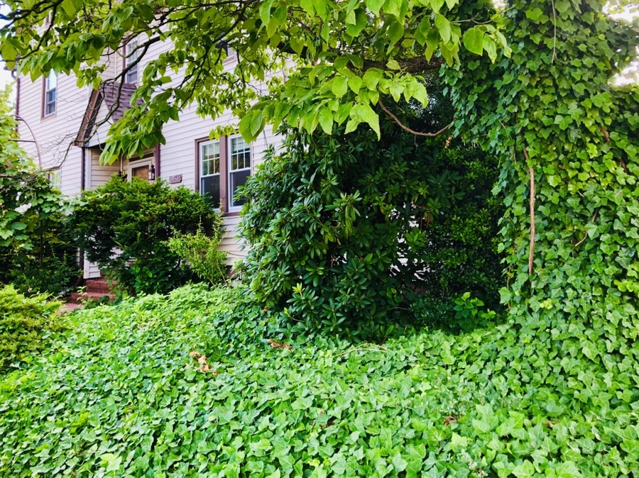 IMG_2969.jpg?type=w966