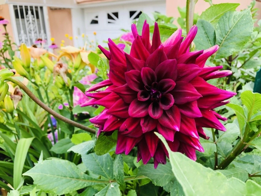 3CHv_4krqK-2PQgPgDqDtPmBC3Q