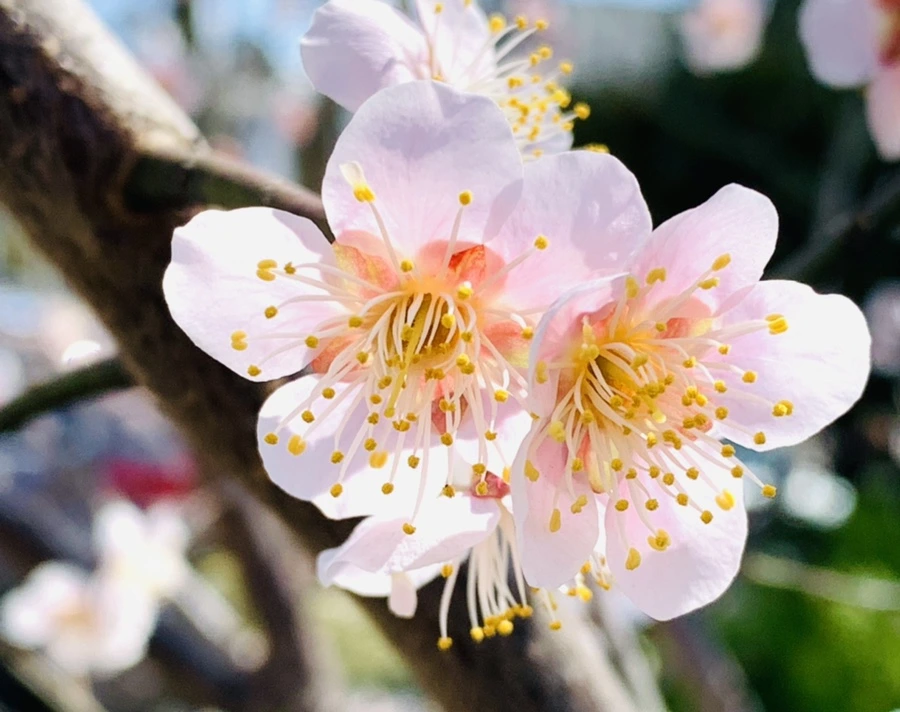 IMG_0971.jpg?type=w966