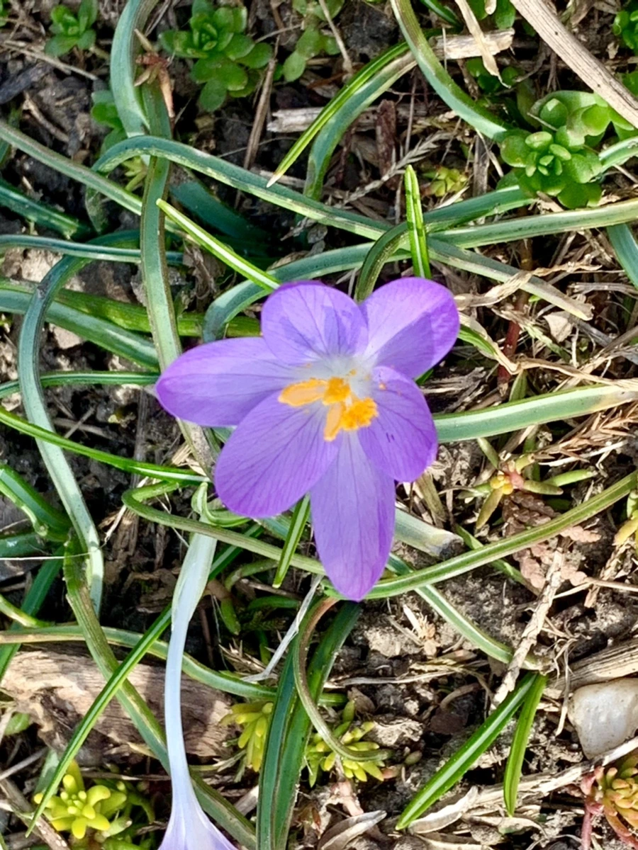 IMG_0274.jpg?type=w966