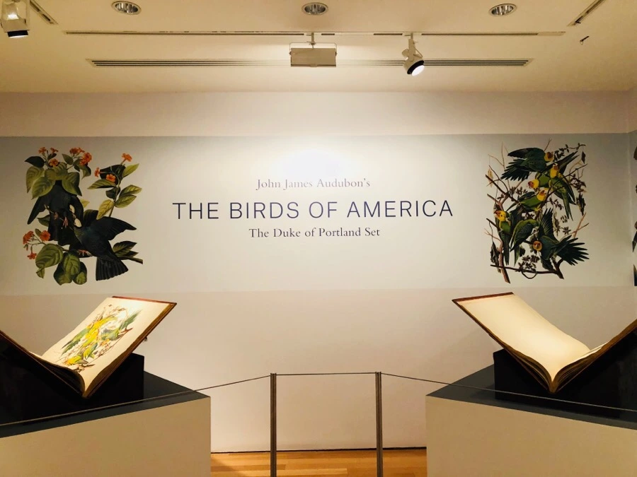 IMG_7546.jpg?type=w966