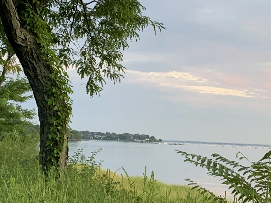 IMG_1177.jpg?type=w966