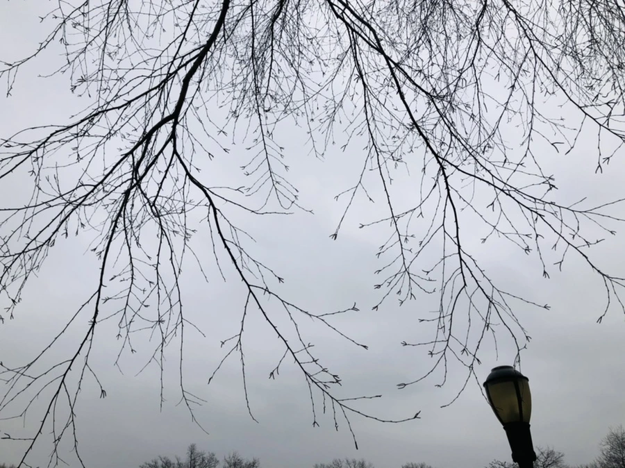 IMG_3111.jpg?type=w966