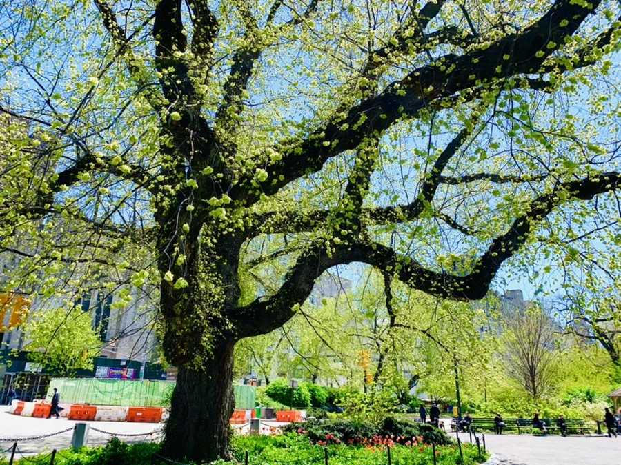 IMG_5676.jpg?type=w966