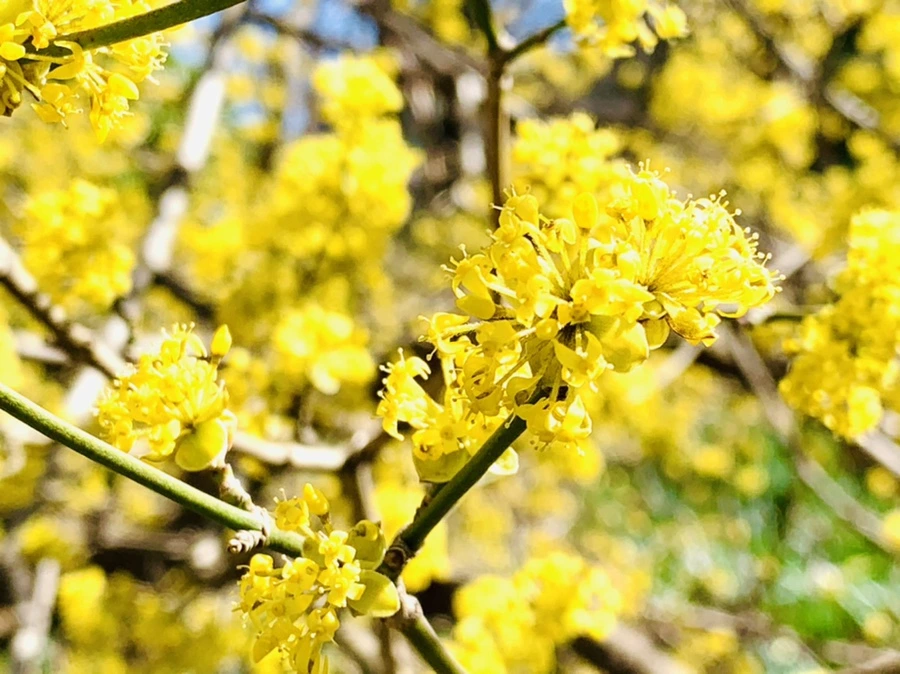 IMG_5749.jpg?type=w966