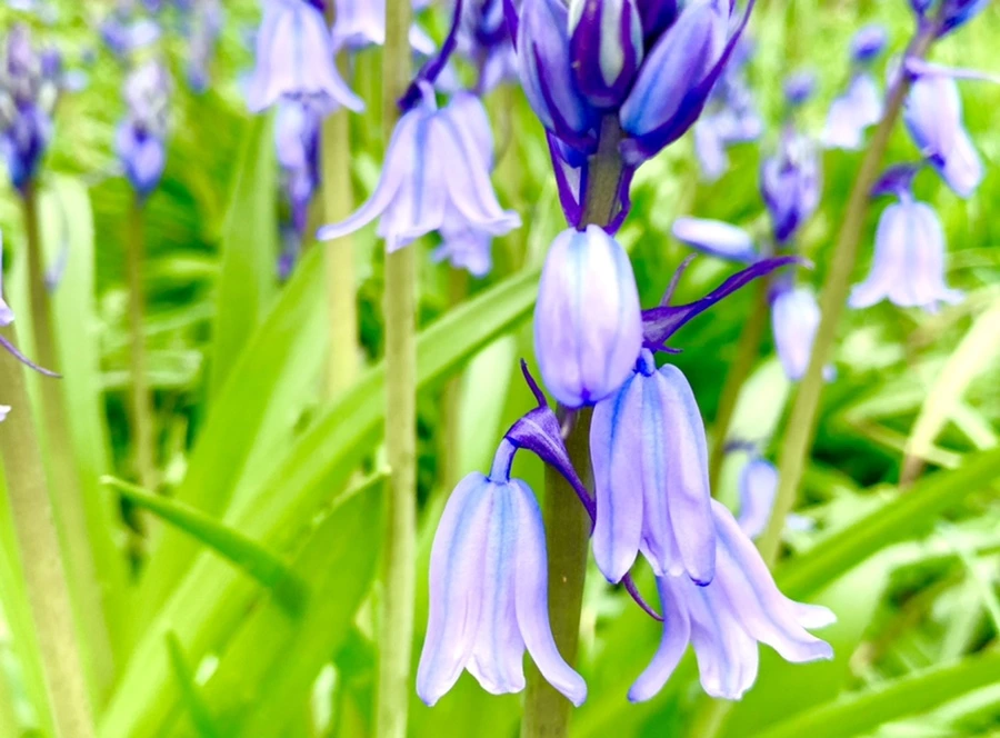 IMG_9581.jpg?type=w966