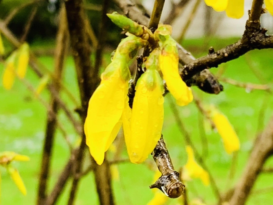 IMG_5070.jpg?type=w966