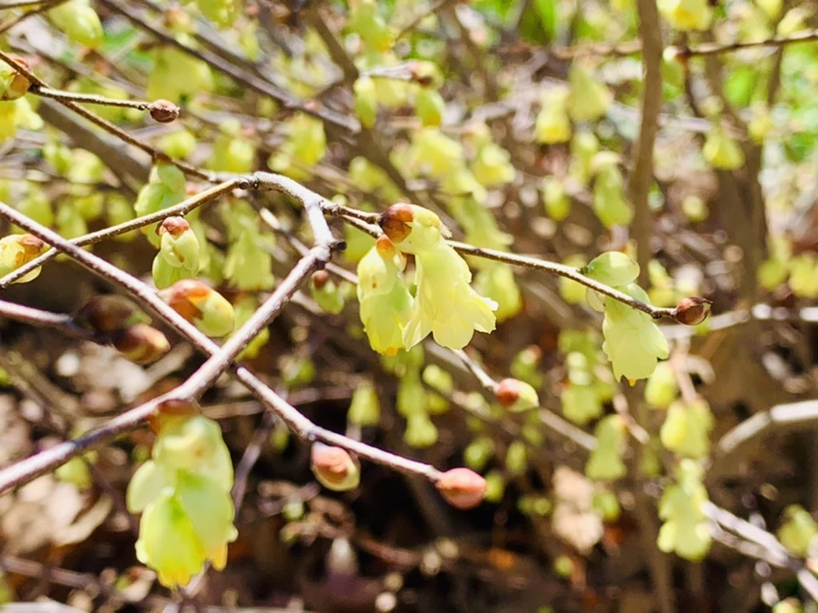 IMG_5694.jpg?type=w966