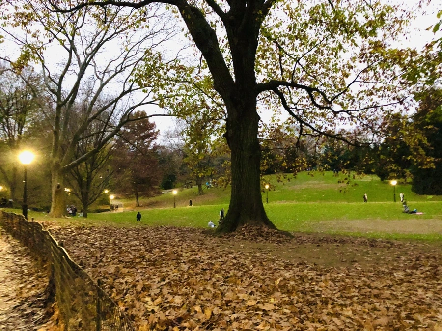 IMG_5173.jpg?type=w966