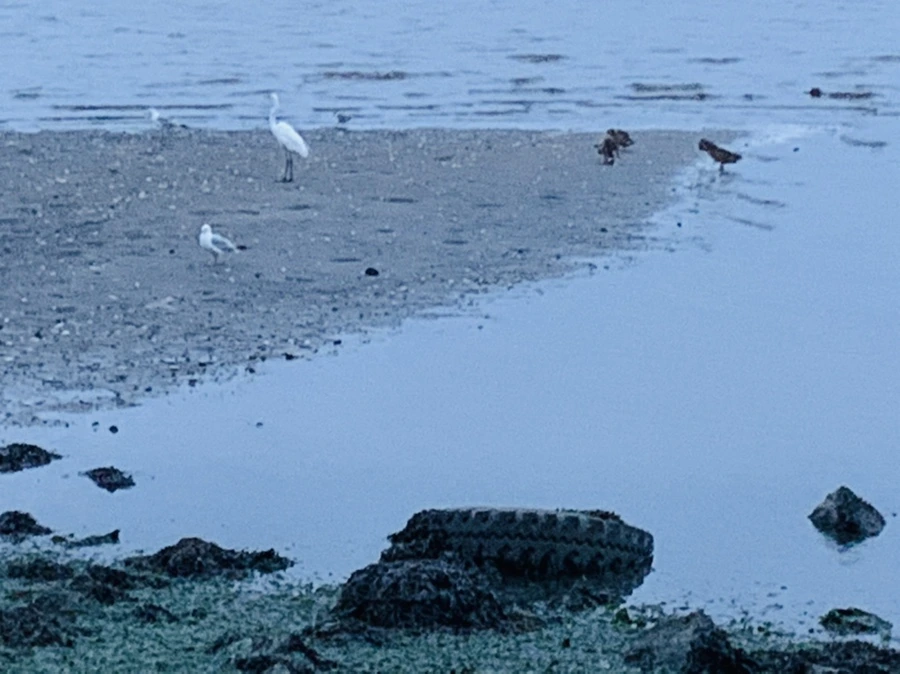 IMG_6734.jpg?type=w966