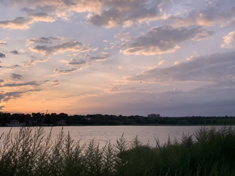 IMG_1716.jpg?type=w966