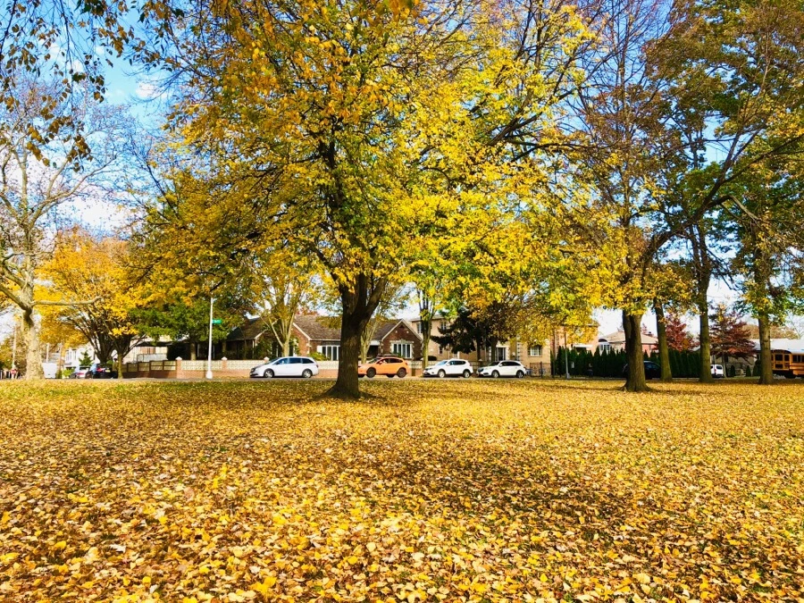 IMG_7491.jpg?type=w966