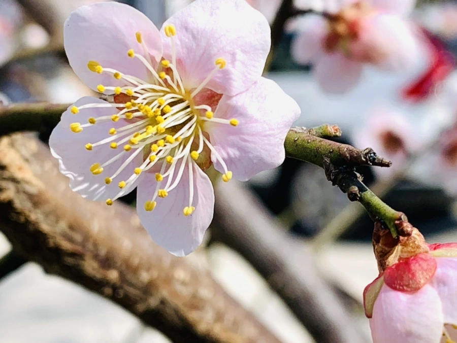 IMG_0985.jpg?type=w966