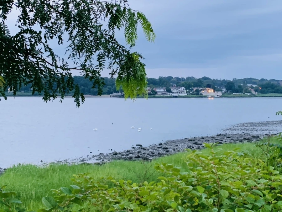 IMG_0713.jpg?type=w966