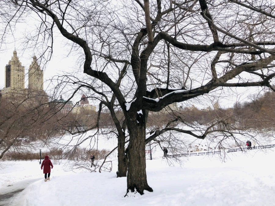 IMG_9499.jpg?type=w966