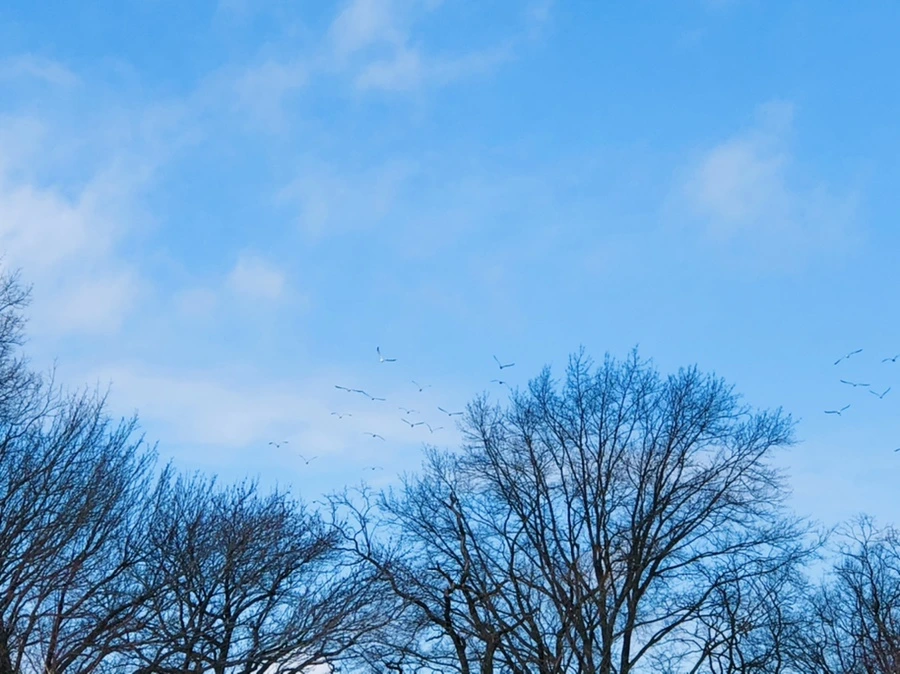 IMG_2854.jpg?type=w966