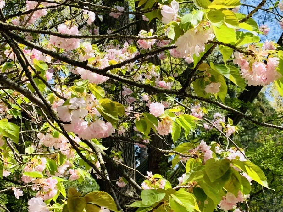 IMG_6304.jpg?type=w966