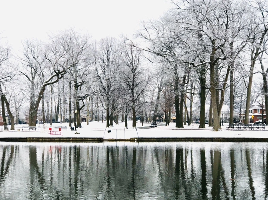 IMG_4478.jpg?type=w966