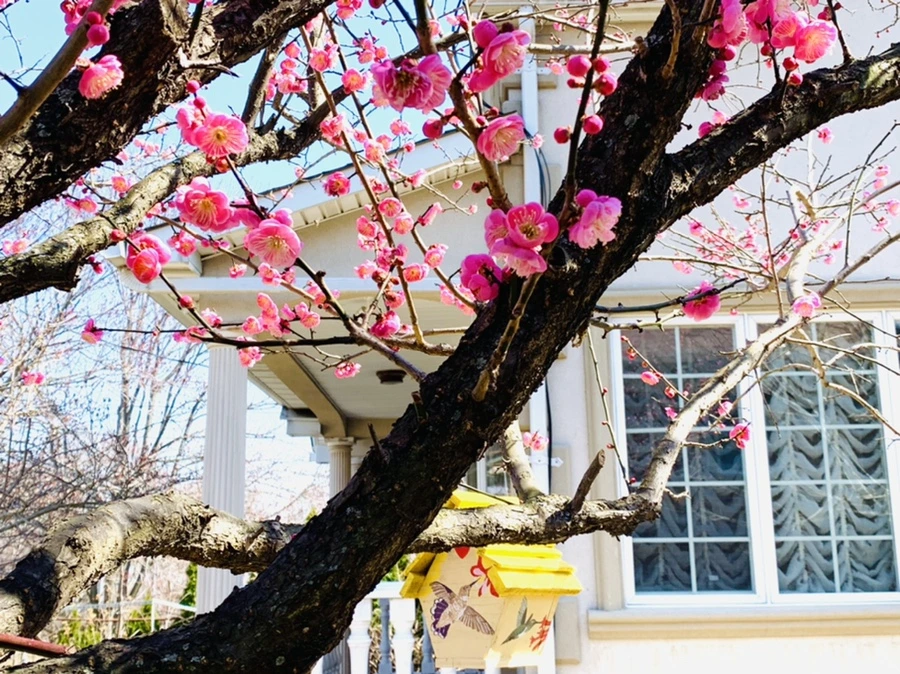 IMG_3005.jpg?type=w966