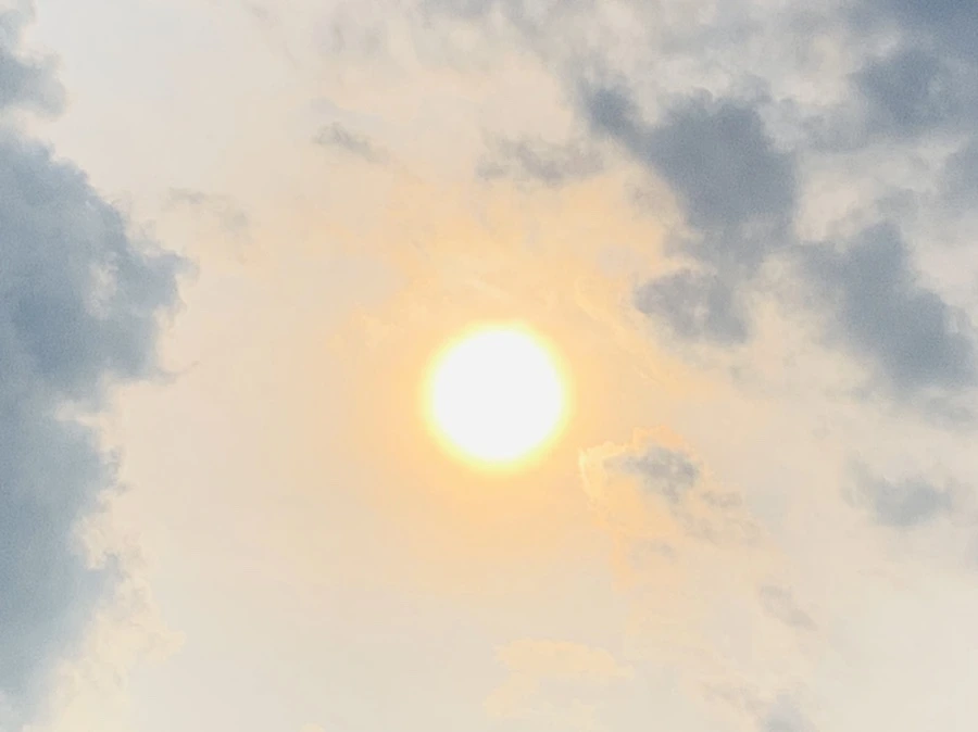 IMG_1591.jpg?type=w966