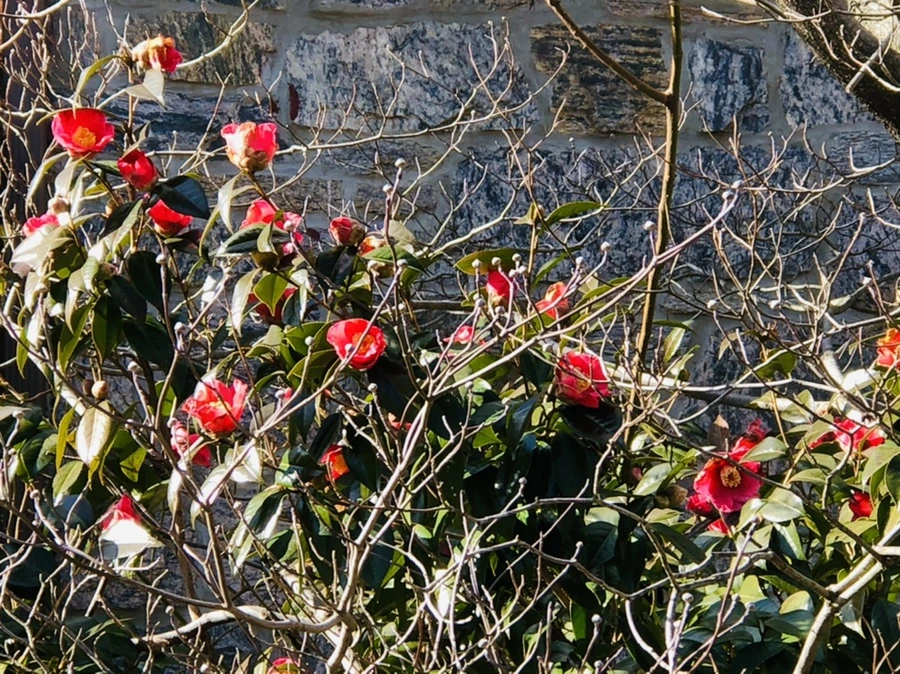 IMG_5200.jpg?type=w966