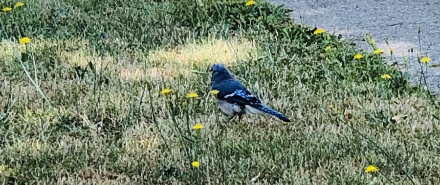 IMG_1298.jpg?type=w966