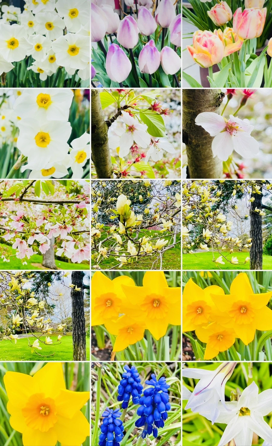 IMG_1436.jpg?type=w966