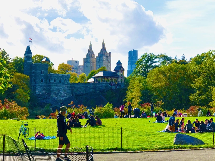 IMG_2086.jpg?type=w966