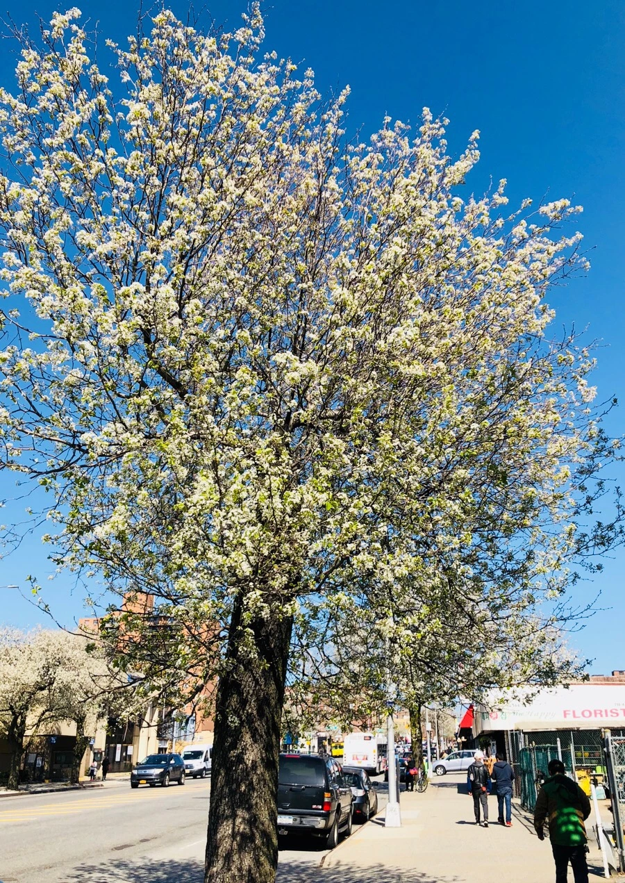 IMG_4601.jpg?type=w966