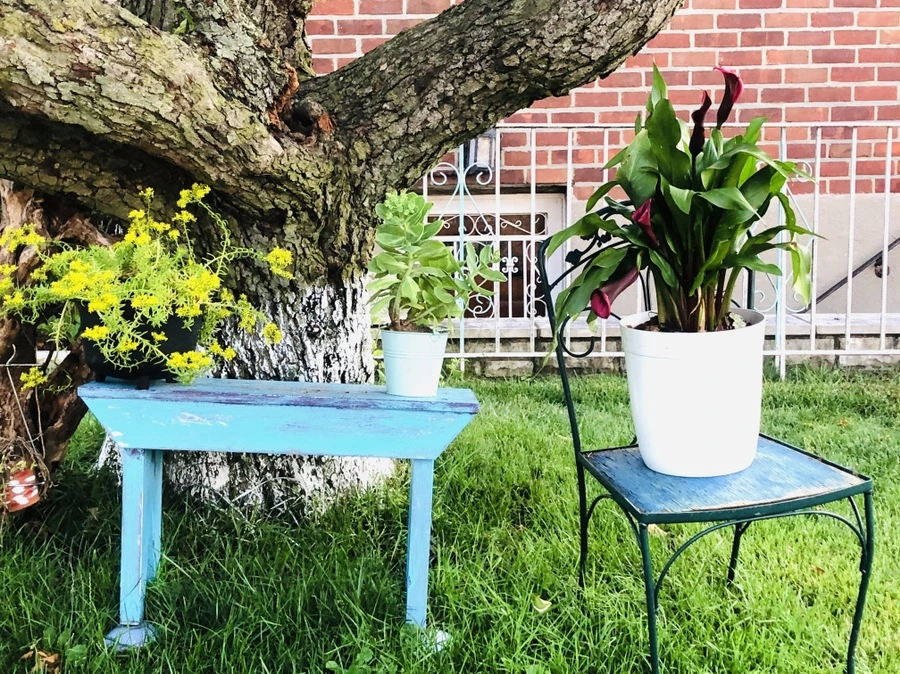 IMG_0137.jpg?type=w966