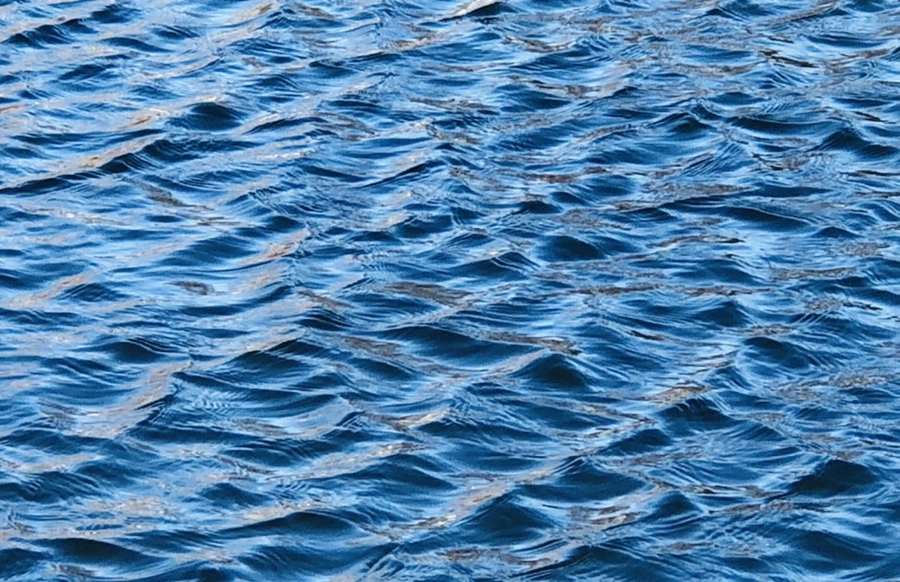 IMG_3826.jpg?type=w966