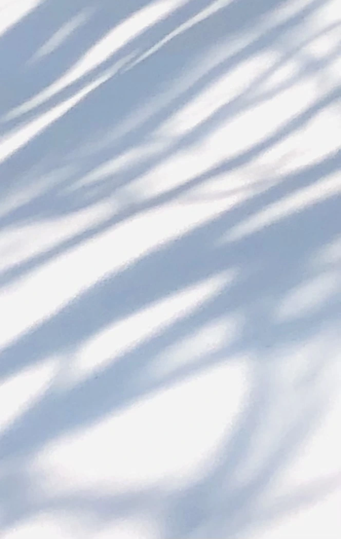 IMG_7758.jpg?type=w966