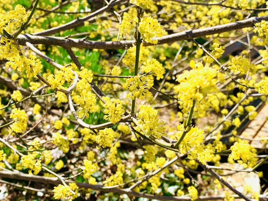 IMG_5668.jpg?type=w966