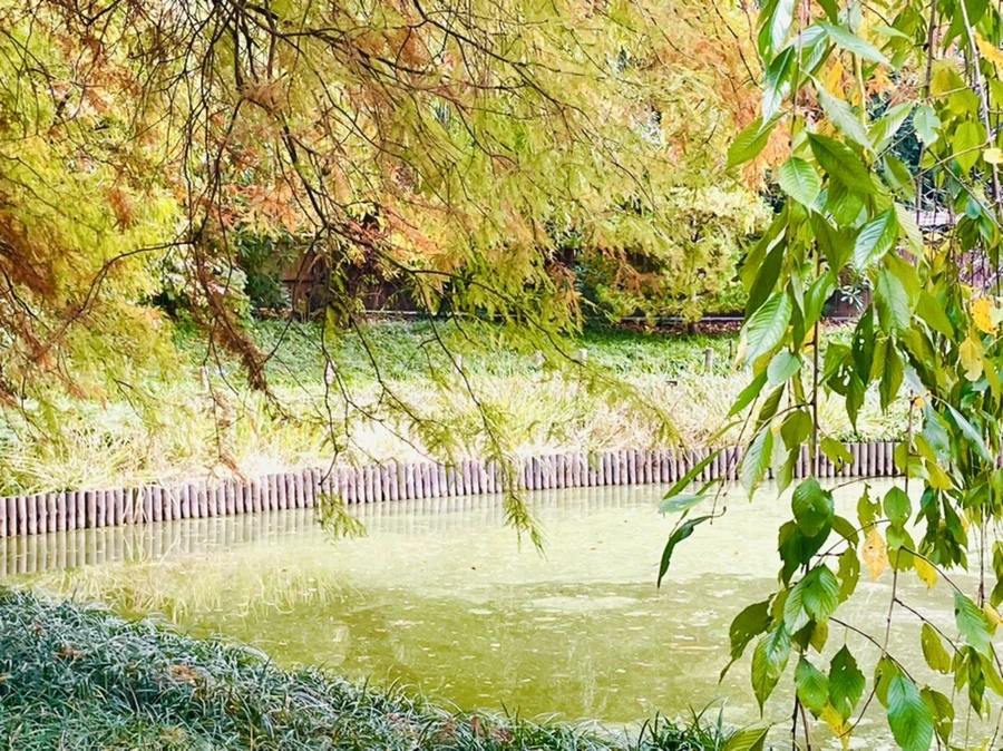 IMG_0197.jpg?type=w966