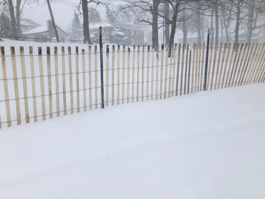 IMG_8829.jpg?type=w966