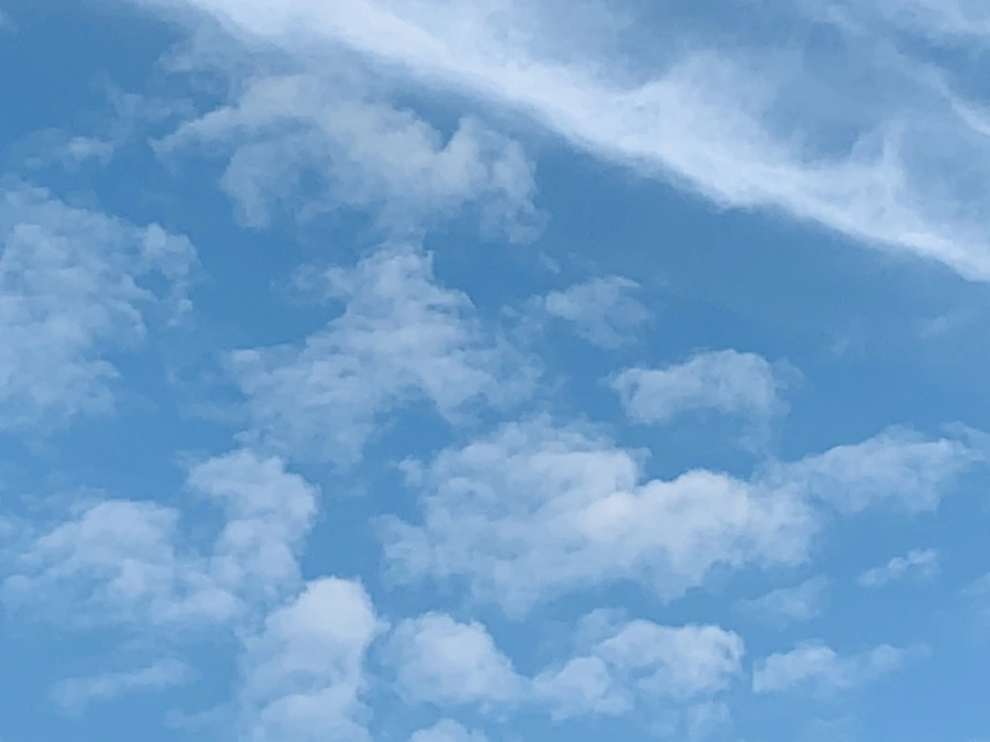 IMG_5812.jpg?type=w966