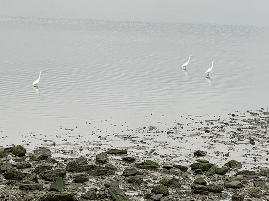 MXEUz-0PFlnqtGV-RzJYVTuClJU