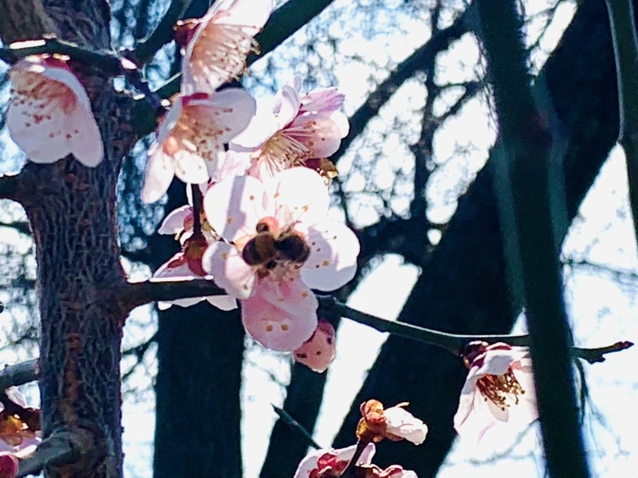 IMG_4215.jpg?type=w966