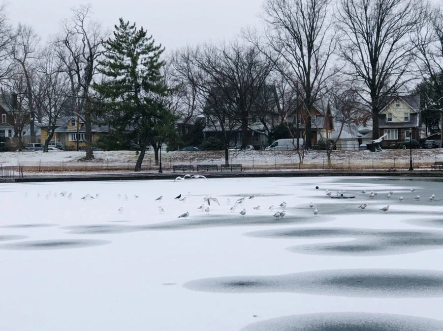 IMG_6189.jpg?type=w966