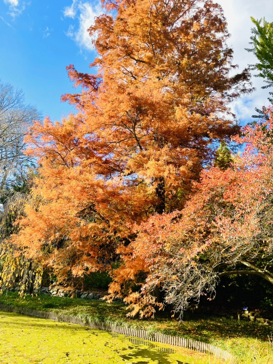 IMG_3169.jpg?type=w966