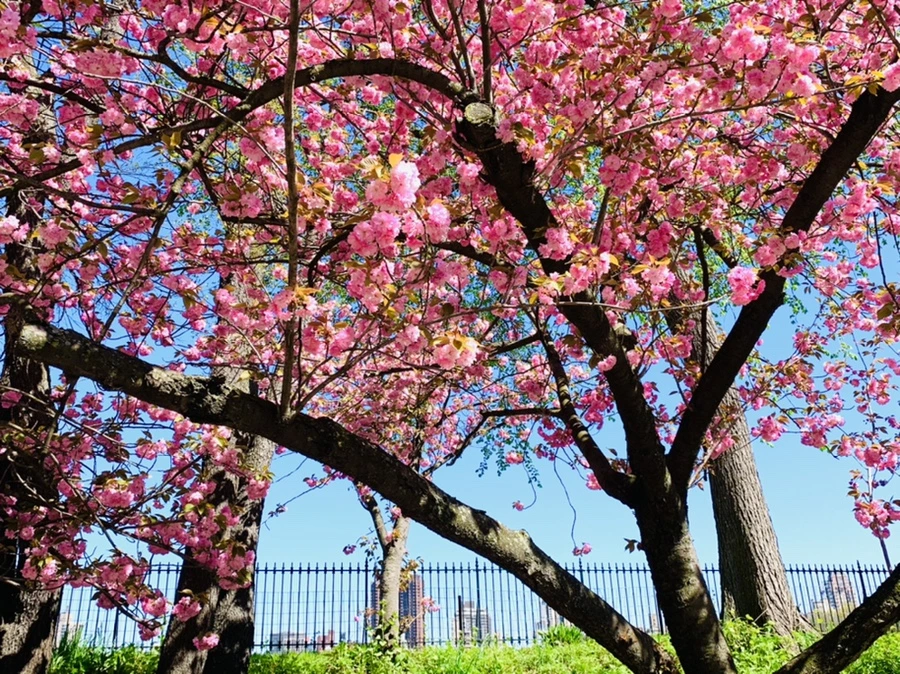 IMG_5981.jpg?type=w966