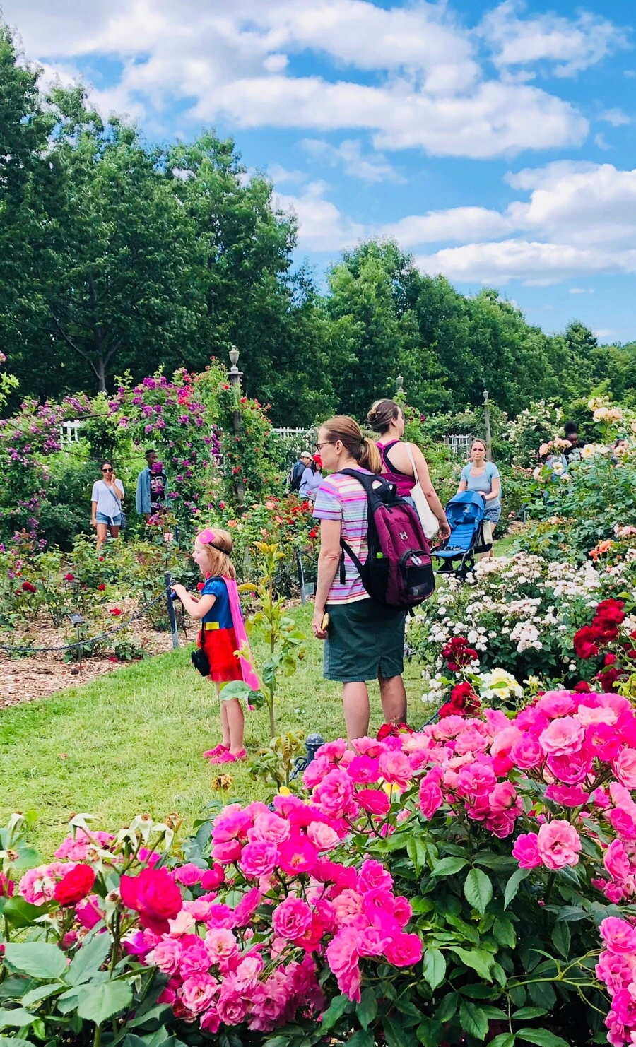 IMG_7876.jpg?type=w966