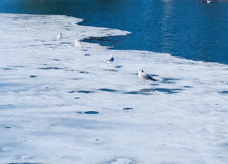 IMG_6772.jpg?type=w966