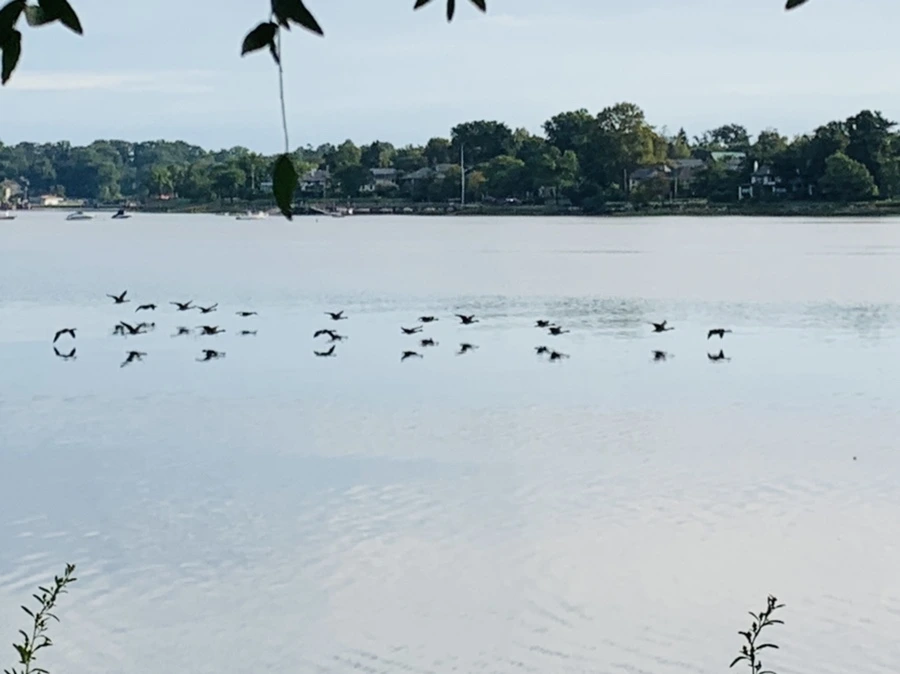 IMG_7847.jpg?type=w966