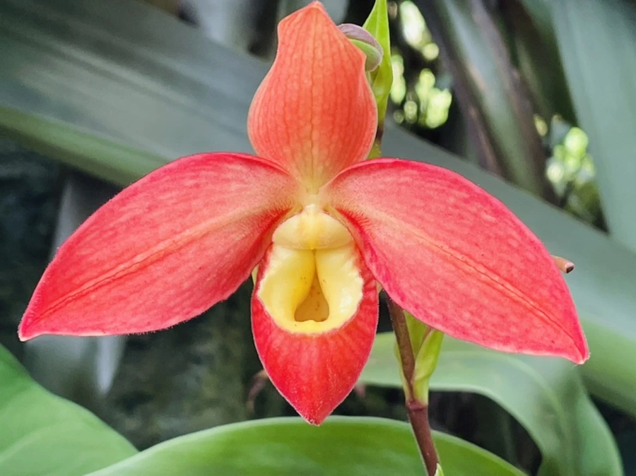 IMG_4478.jpg?type=w966