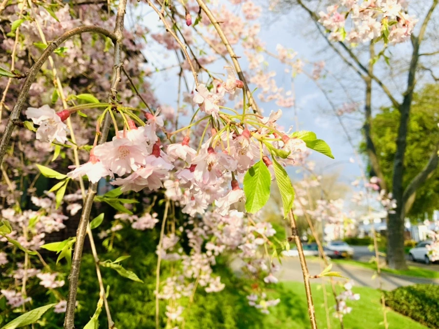 IMG_3814.jpg?type=w966