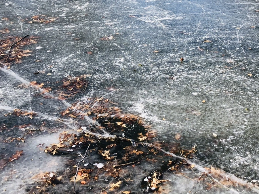 IMG_7912.jpg?type=w966