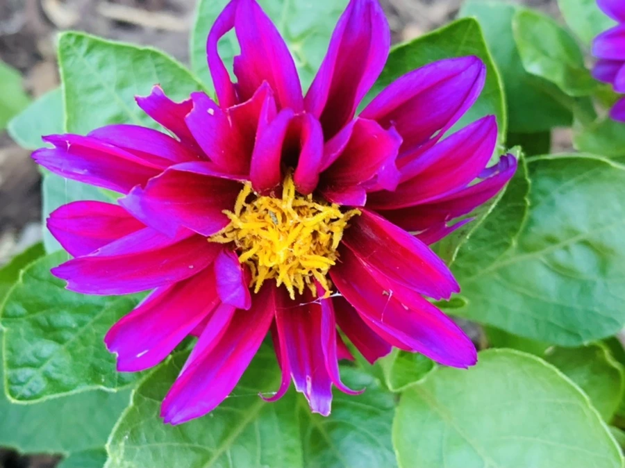 IMG_5237.jpg?type=w966