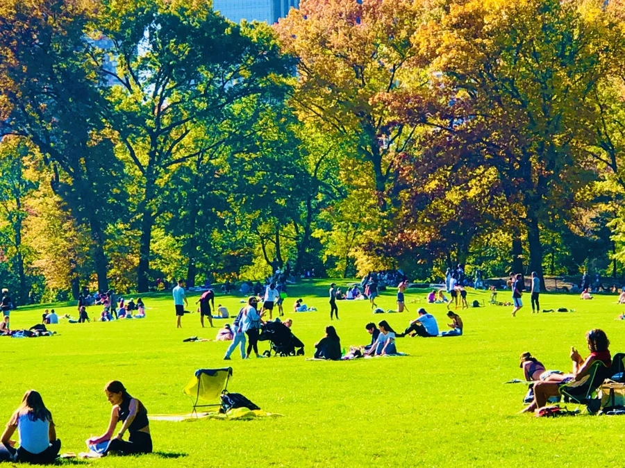 IMG_3829.jpg?type=w966